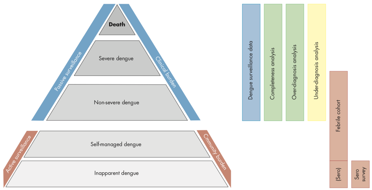 OliverBrady1's tweet photo. Less than 1 in 20 dengue infections are reported hiding a huge sub-clinical burden. With @WHO we built guidelines for countries to estimate this burden and improve their dengue surveillance systems. Three years and six countries later they are now live https://t.co/mfjSn1eiW2 https://t.co/uQ2vouW59K