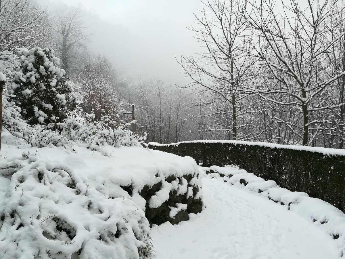 MuseoDeiTasso's tweet photo. Questa mattina il #borgo di Cornello si è vestito di bianco ⛄️❄️#cornellodeitasso #museodeitasso #valbrembana #visitbrembo #inLombardia #visitbergamo #apm #museitaliani #intervalli #Borghi #neve #Christmas #Natale https://t.co/XSCI5yLgr7