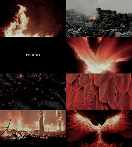 xApocalypse_Nur's tweet image. Яε-εмεяgιиg αѕ тнε Pнσεиιχ ѕтяσиgεя тнαи ενεя.

Sσи σƒ Jεαи Gяεч

( MᵾŧȺnŧ )

🅿🅷🅾🅴🅽🅸🆇 🅿🅾🆆🅴🆁

#MarvelRP #FreeRol 

⏺️RT?