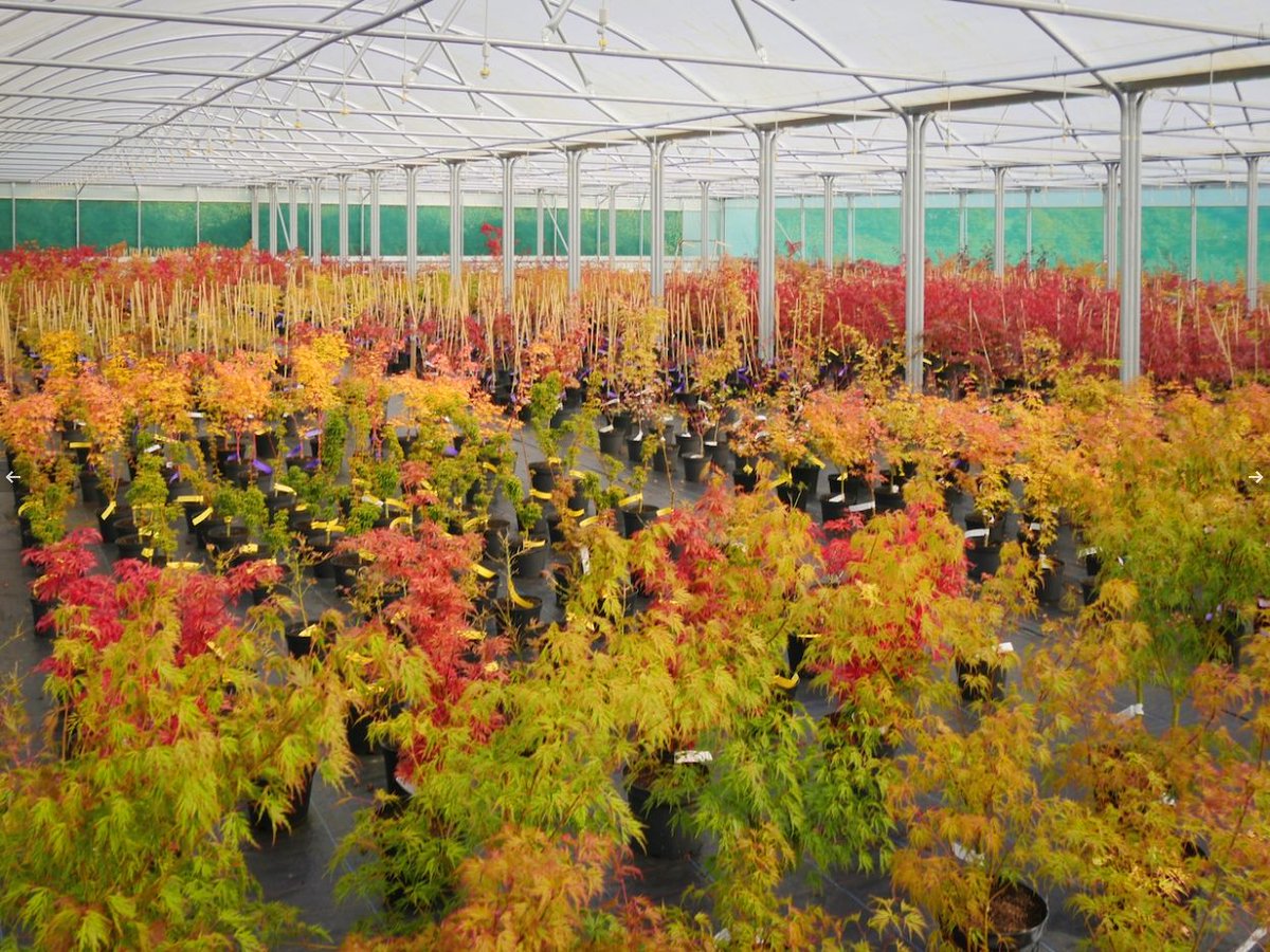 NatPolytunnels's tweet photo. All of our #polytunnels have been designed and manufactured in our factories in County Durham since 1982.
#horticulture #commercial #Multispans #madeinUK #bestofbritish https://t.co/souS8aIiwY
