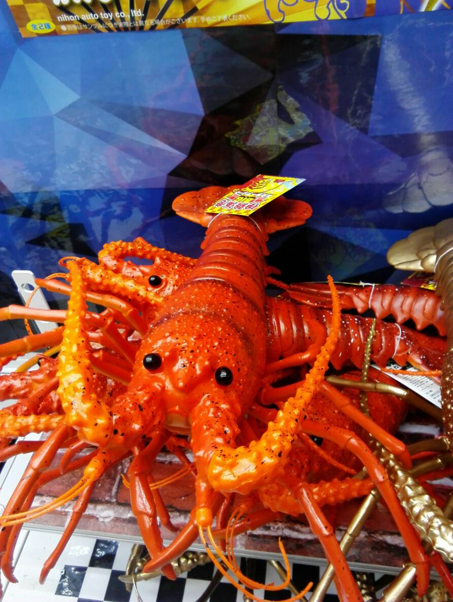 アミューズメントコーナー マンガ倉庫山口店 Twitterren 伊勢海老 Bigスカラーアソート 伊勢海老アソートが入荷しました 見た目美味しそうな伊勢海老ですが食べられません 2種類あります