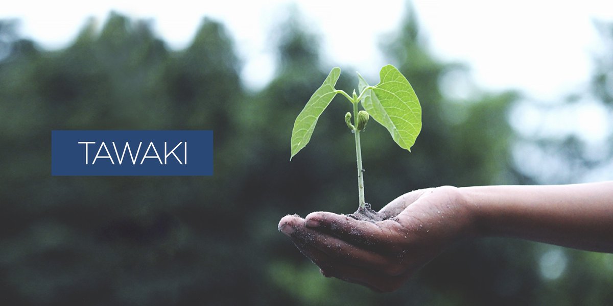 Evolution means improving. Give shape to innovative ideas it's the mission we have chosen. #GreenEnergy #Sustainability #GreenTechnologies