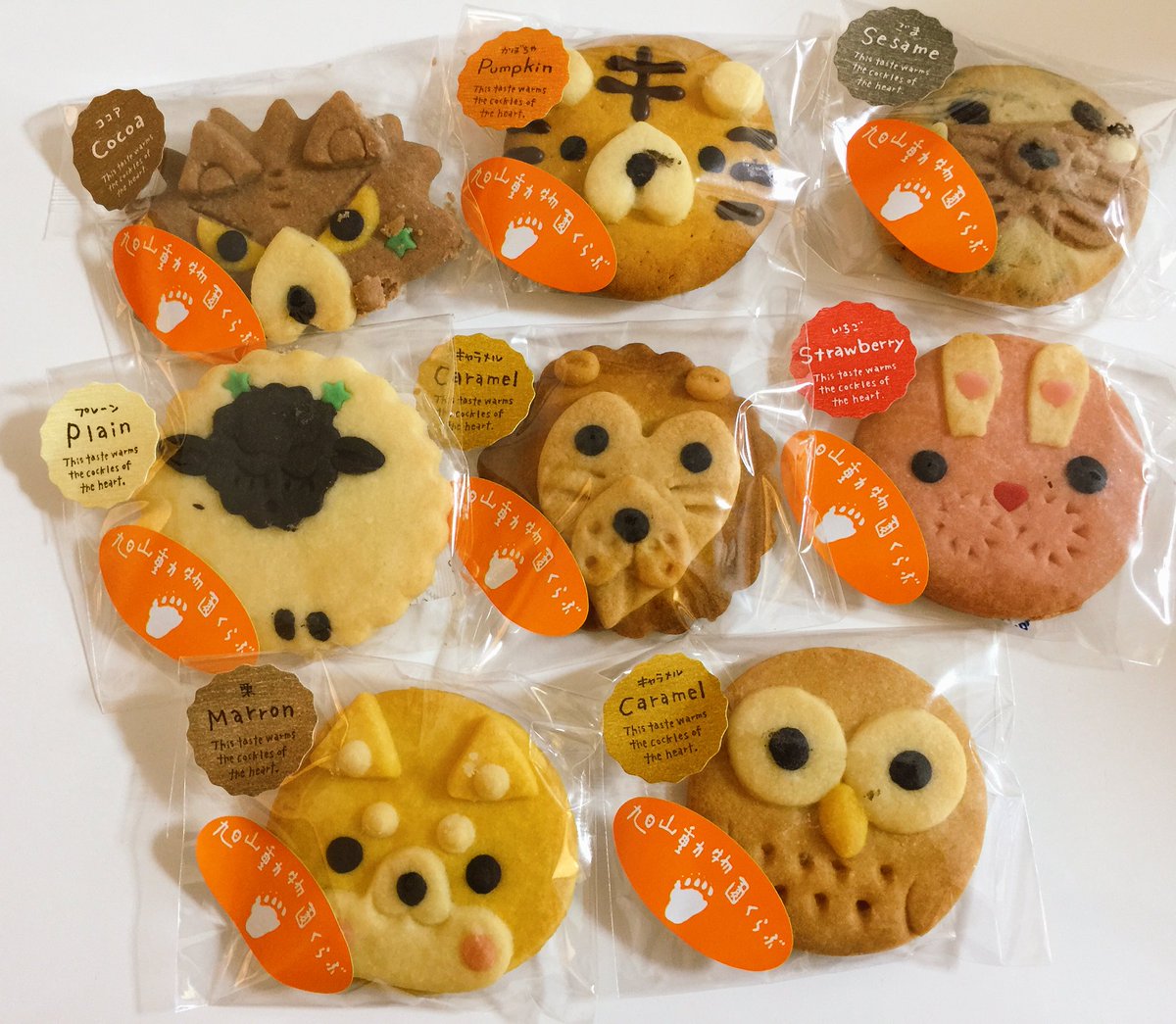 きゃらきゃらマキアート 旭山動物園で買った動物クッキー 可愛くて食べれない 左下の犬は今年限定です 戌年だから