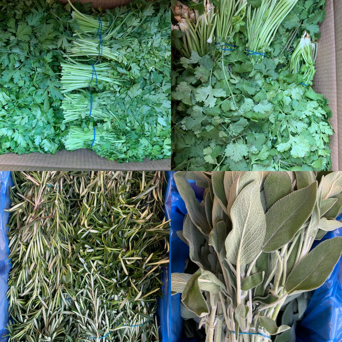 Beautiful fresh #herbs all fresh in this morning #sage #rosemary #coriander #parsley. We can get most herbs in to order if you give us 24 hours notice #shoplocal #freshherbs #greengrocer #tottenham