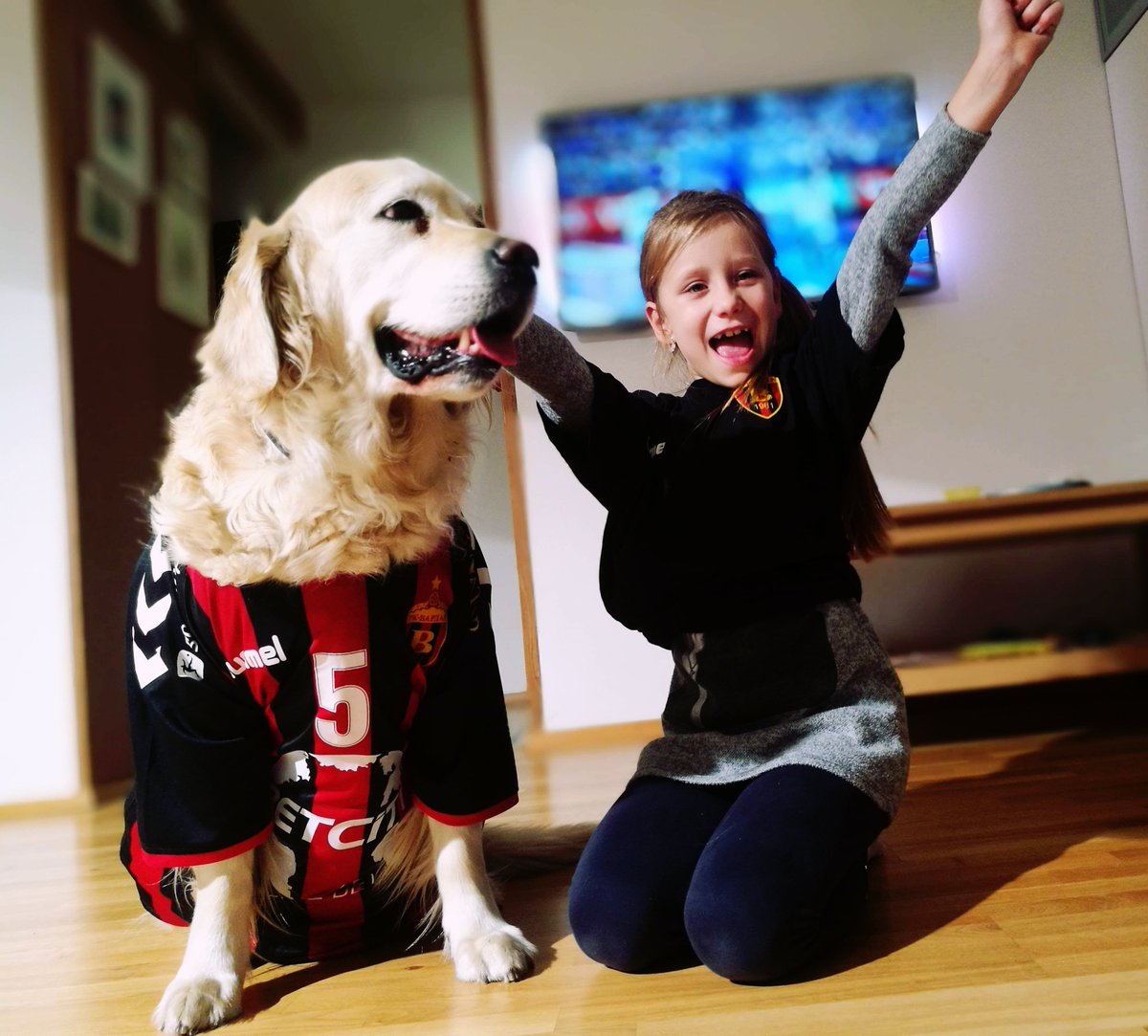 SEHALeague's tweet photo. 💥In case you missed Be8player LIVE STREAM with Mia Baran and Tin Kontrec as 🎤hosts, we present you the 🎊WINNER🎊 of the Best Handball Fan Contest vol.3 👉Katarina Jordanovska, @HCVardar 's FAN🔥 @hummel1923 #besthandballfan #hummel #dedicatedtofans #experiencehandball https://t.co/D8Nx7WUxzL