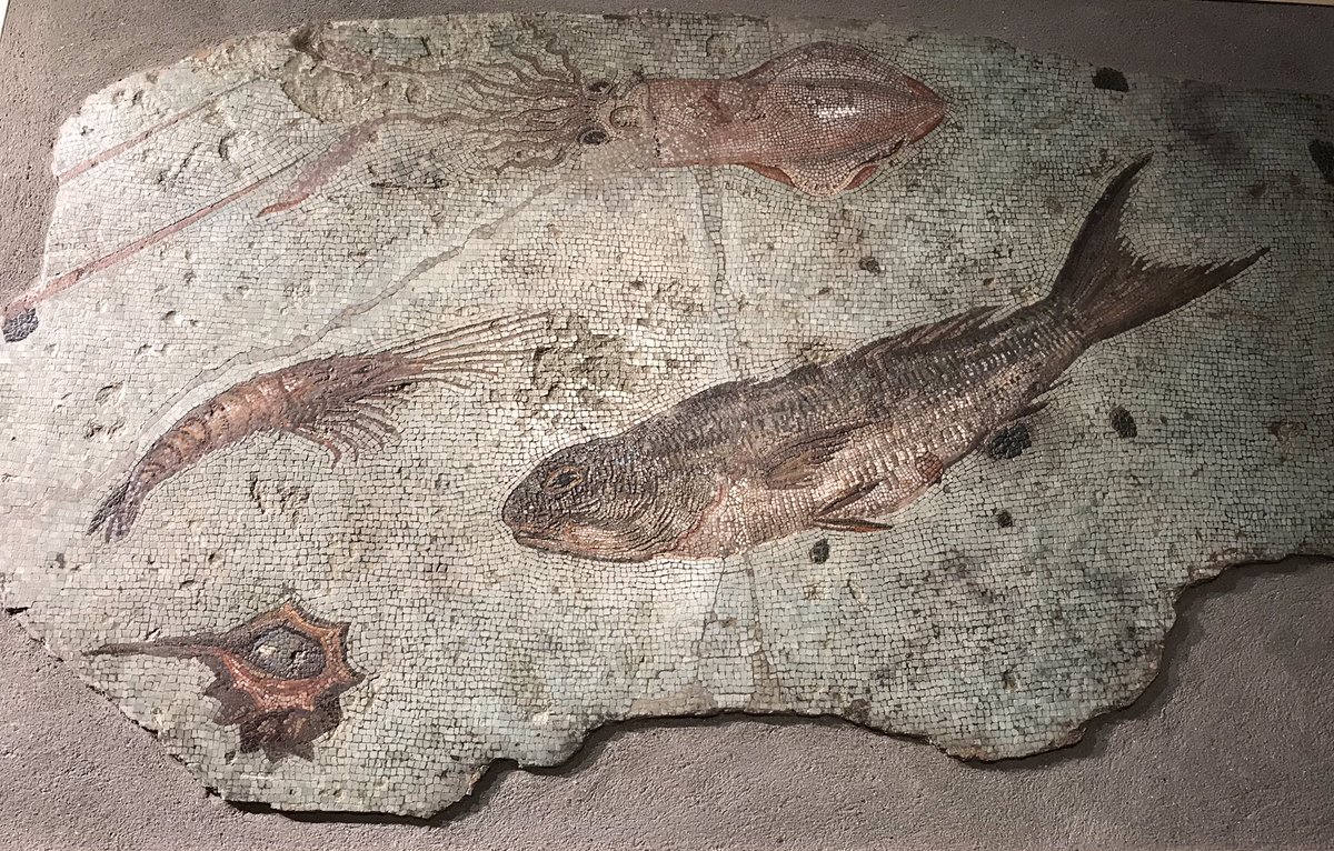 stefanocornwall's tweet image. Today #FSInnova @fsnews_it we are team building our group @
centralemontemartini.org
a site full of inspiration to develop our creativity....