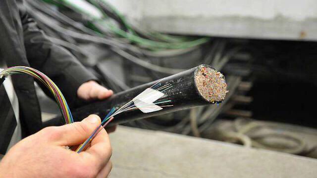 Dominique Le Mèner tweet media