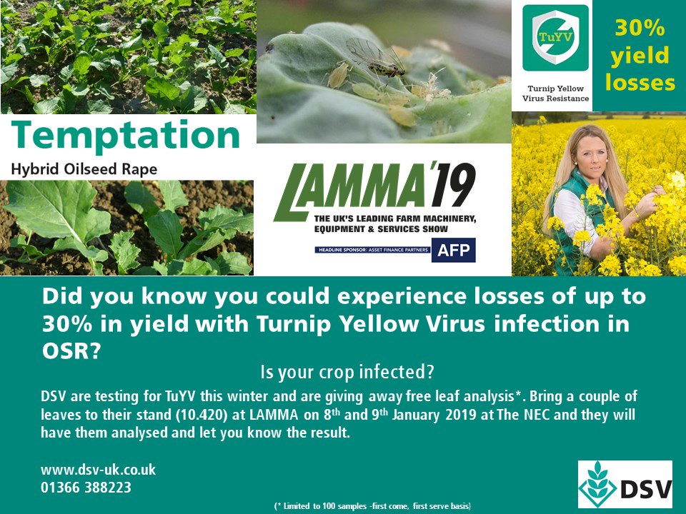 DSVUKSEEDS's tweet photo. We will be giving away FREE TuYV testing @lammashow.
Bring 5 new leaves to the show and we will test to see if you have infection in your crop.
#oilseedrape #hiddendisease #TemptationOSR https://t.co/jm9Ds6zpxu
