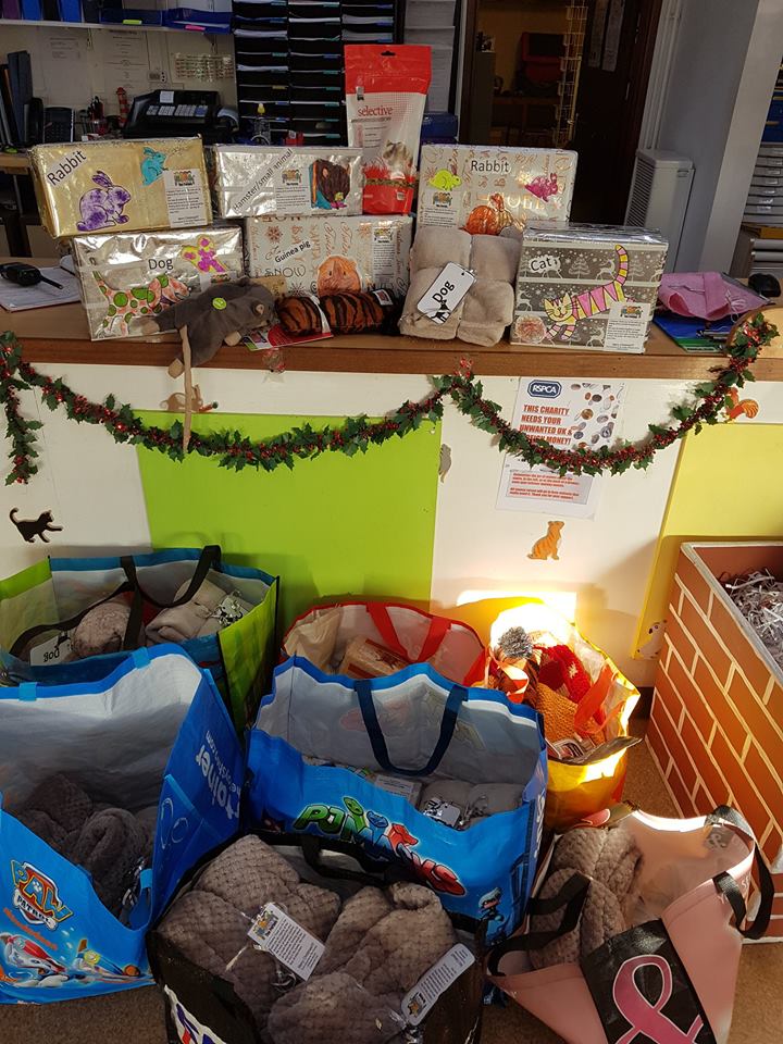 Stubbington Ark, RSPCA Solent branch tweet media