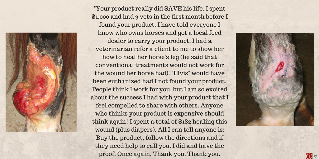 Equaide's tweet image. It's hard to tell what is real and what is fake on the internet🙃 (we get it)! At Equaide we are vocal about our REAL healing results! We help equine, canine, livestock and more through their toughest injuries. For more information, visit equaide.com or DM us💗