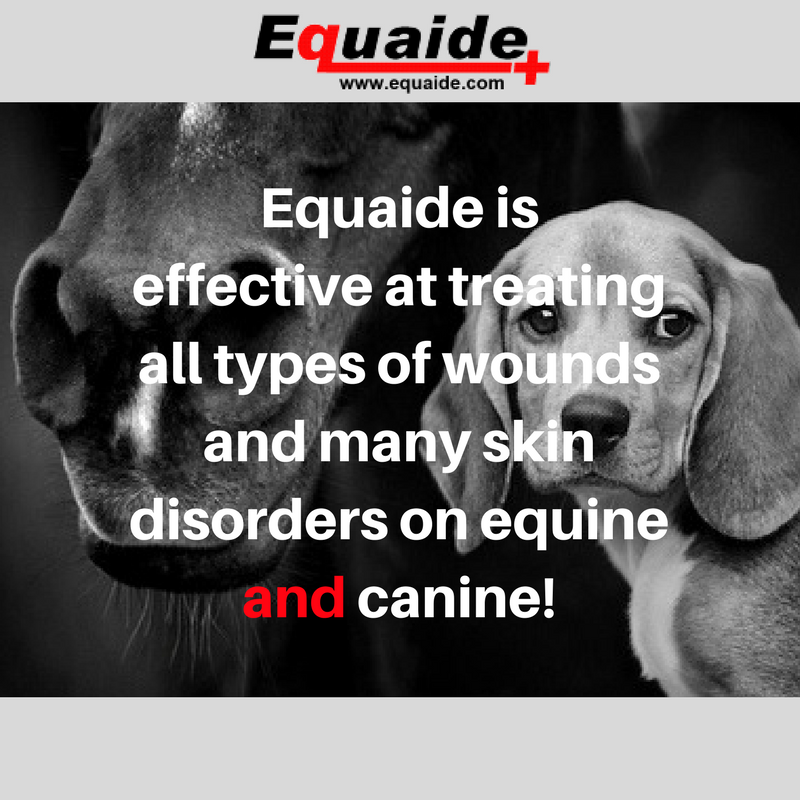 Equaide's tweet image. It's hard to tell what is real and what is fake on the internet🙃 (we get it)! At Equaide we are vocal about our REAL healing results! We help equine, canine, livestock and more through their toughest injuries. For more information, visit equaide.com or DM us💗