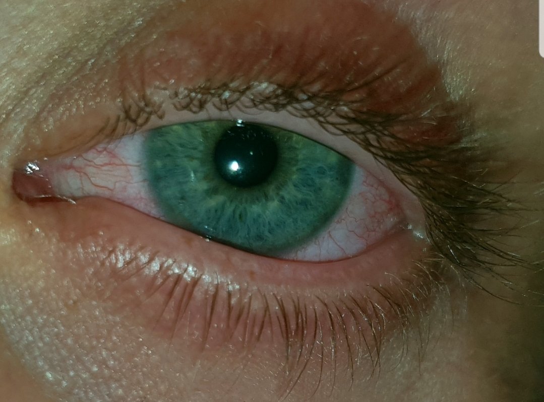 SheetsSmack's tweet image. Stay lit