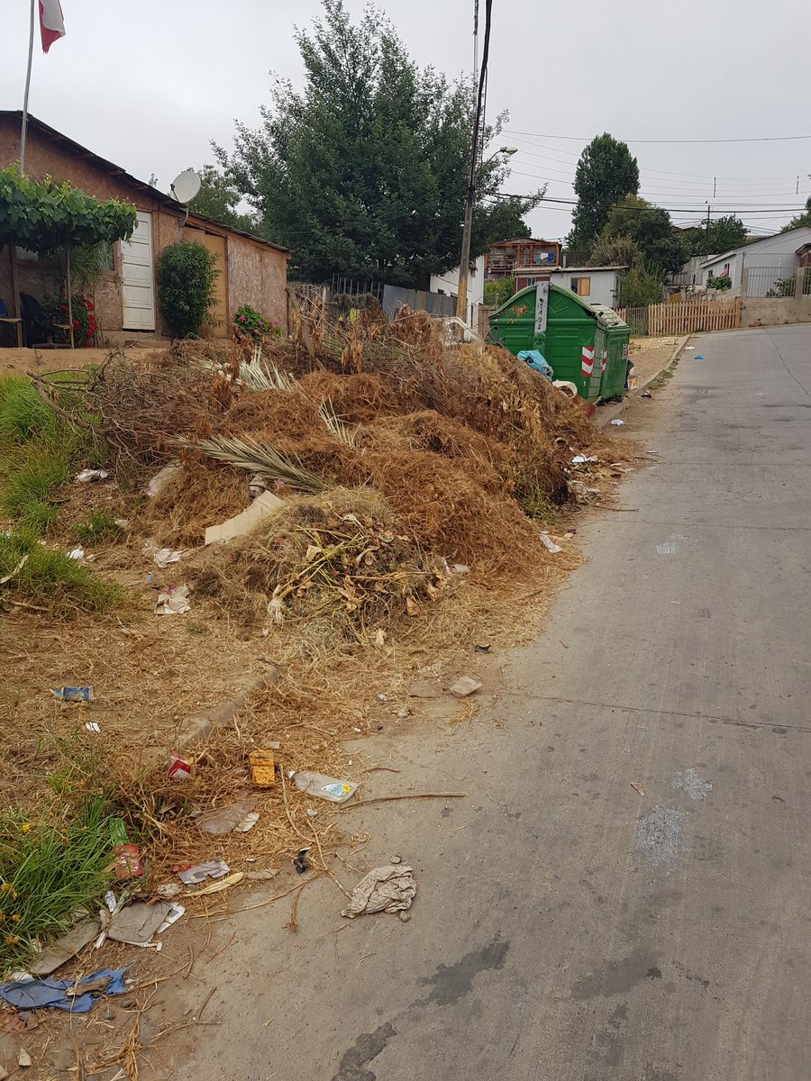 fabifrut's tweet photo. @EFCMuniVina por favor les pido ayuda para limpiar este lugar y posibilidad de poner algun letrero que se multara a las personas que boten la basura fuera de los contenedores esto es en calle cinco esquina inca de oro en reñaca alto https://t.co/BiqmoU68P6