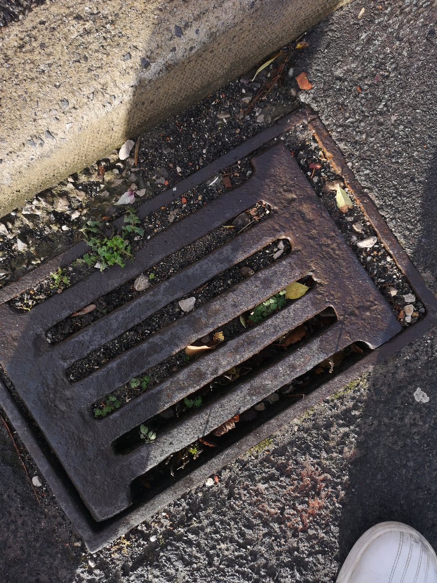 Paul Molloy tweet media