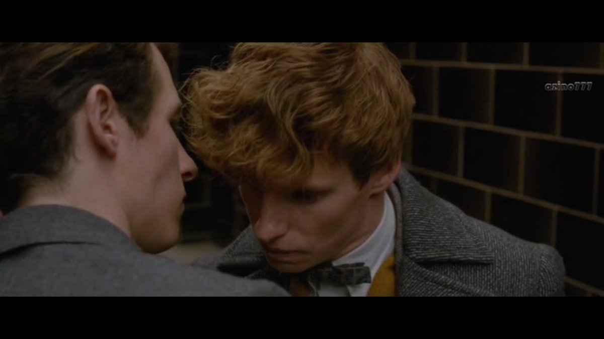 kattyclarkwilk's tweet image. смотрю это в двадцатый раз и забываю что нужно дышать

#fantasticbeasts #scamandercest