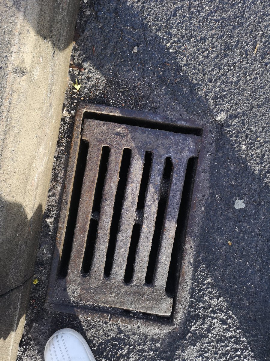 Paul Molloy tweet media