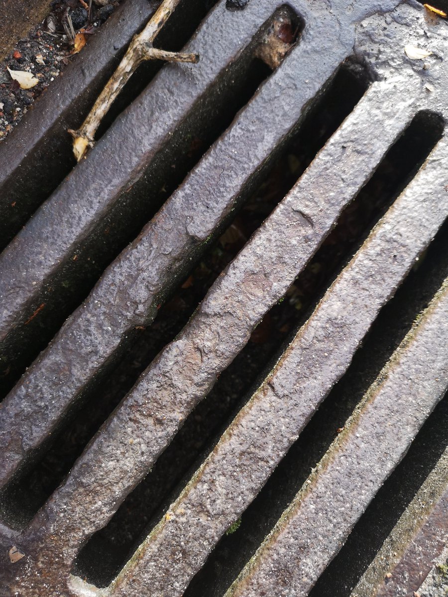 Paul Molloy tweet media