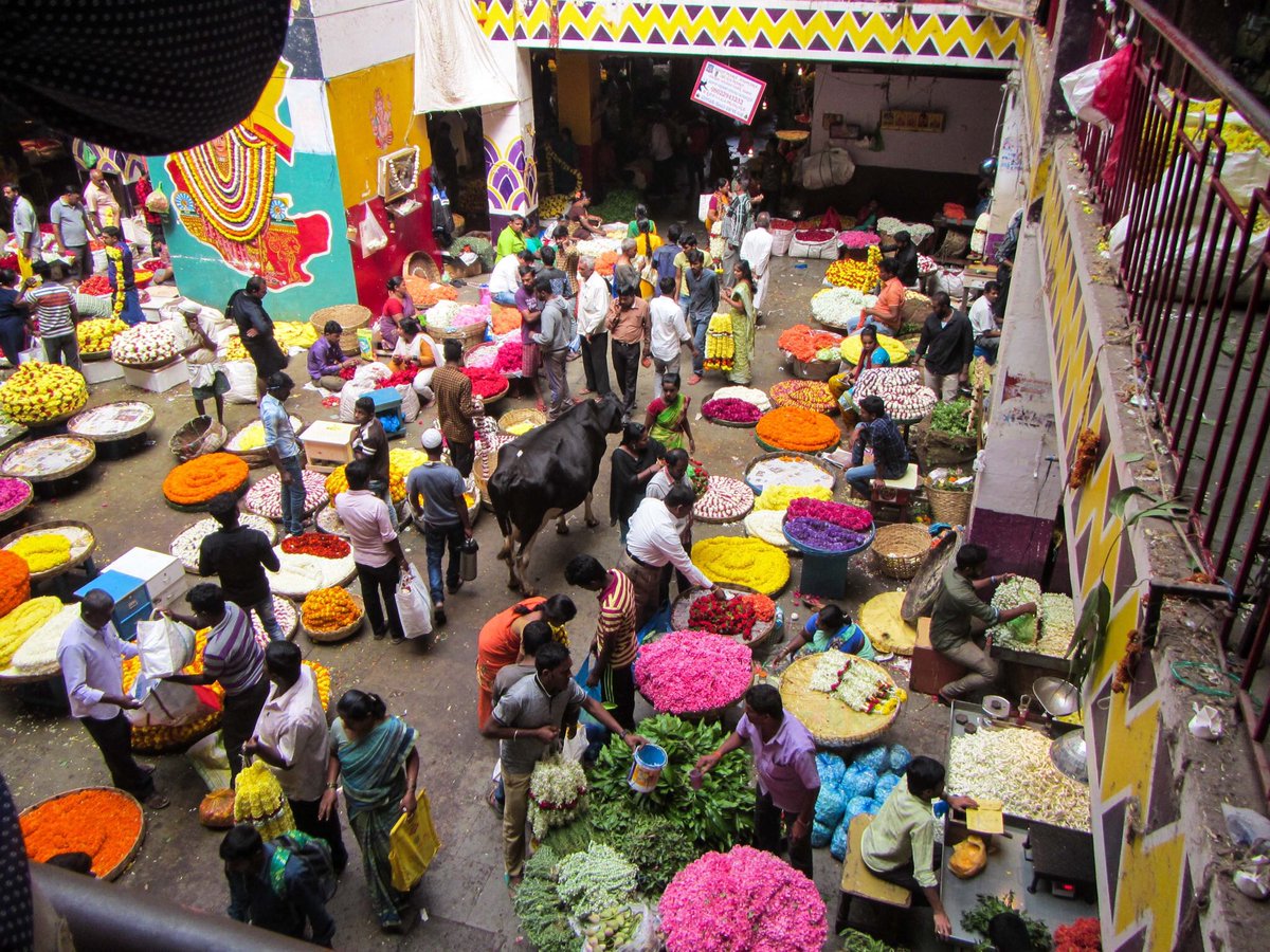 Thesarahbaloo's tweet photo. The Flower Market at KR Market. Being India, the flower devouring cow has to be let in. #lostprofit #IncredibleIndia https://t.co/nb6f8lU0J8