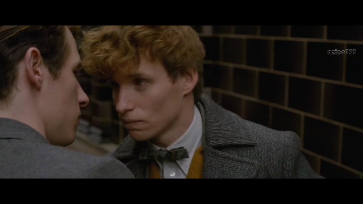 kattyclarkwilk's tweet image. ладно не нужно не дыши

#fantasticbeasts #scamandercest