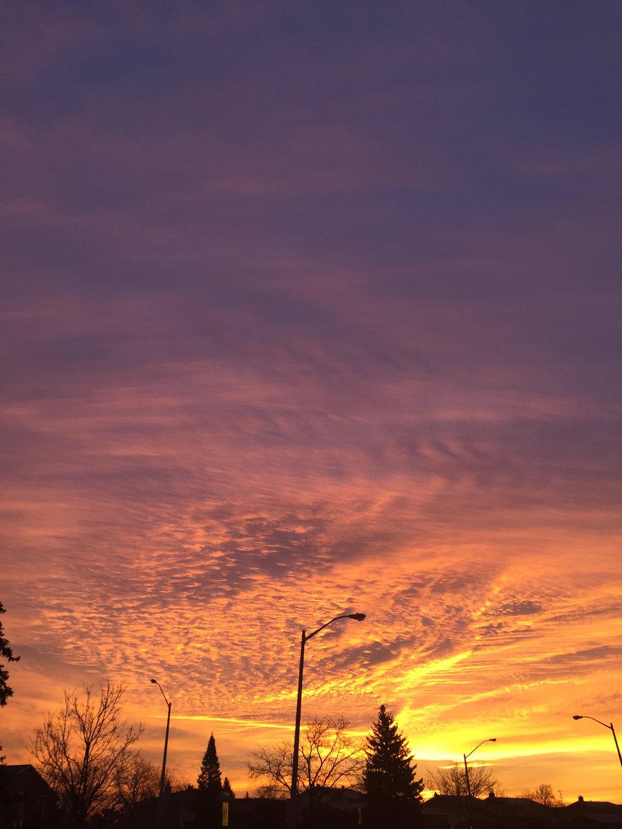 MsLewisBTA's tweet photo. A perfect way to start my day. Truly perfection. #feelingatpeace https://t.co/TG9wqpwrz1