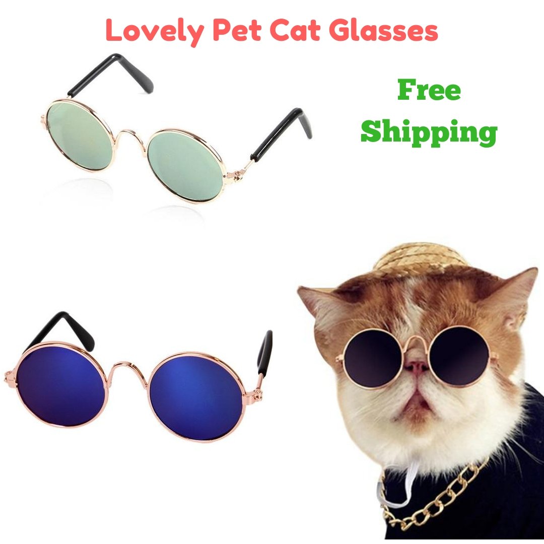 Cat Yum tweet media