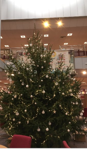 McsEventPro's tweet photo. When we had to find the biggest possible Christmas tree to fit in our clients office! #ThrowbackThursday https://t.co/bTQgell542