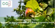 CommodAfrica's tweet photo. # #Cajou #Anacarde : Appel #candidatures pour #programme #formation @ComCashew #Master (MTP) 2019 
@CashewBulletin @AfricanCashew #Ghana #cotedivoire #Senegal #GuineeBissau #Guinee #Togo #Benin #Burkina #Gambia @Rongead @ONG_nitidae @isolinaboto  @ITCnews 
https://t.co/SApbpvKs6J https://t.co/x8IKCoWFLP