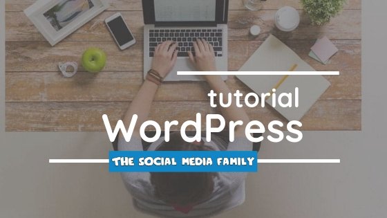 THE_SMF's tweet image. Desde The Social Media Family, agencia de diseño web en Madrid, hemos elaborado un #tutorialwordpress para todos aquellos que quieran dar sus primeros pasos en el #diseñoweb 👌👌👌 ow.ly/eRMc30n3zR9