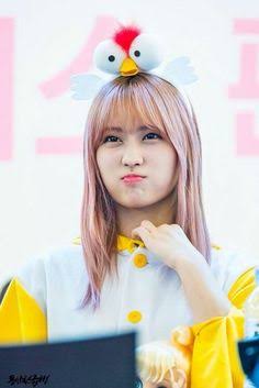 CuteFiles tweet picture