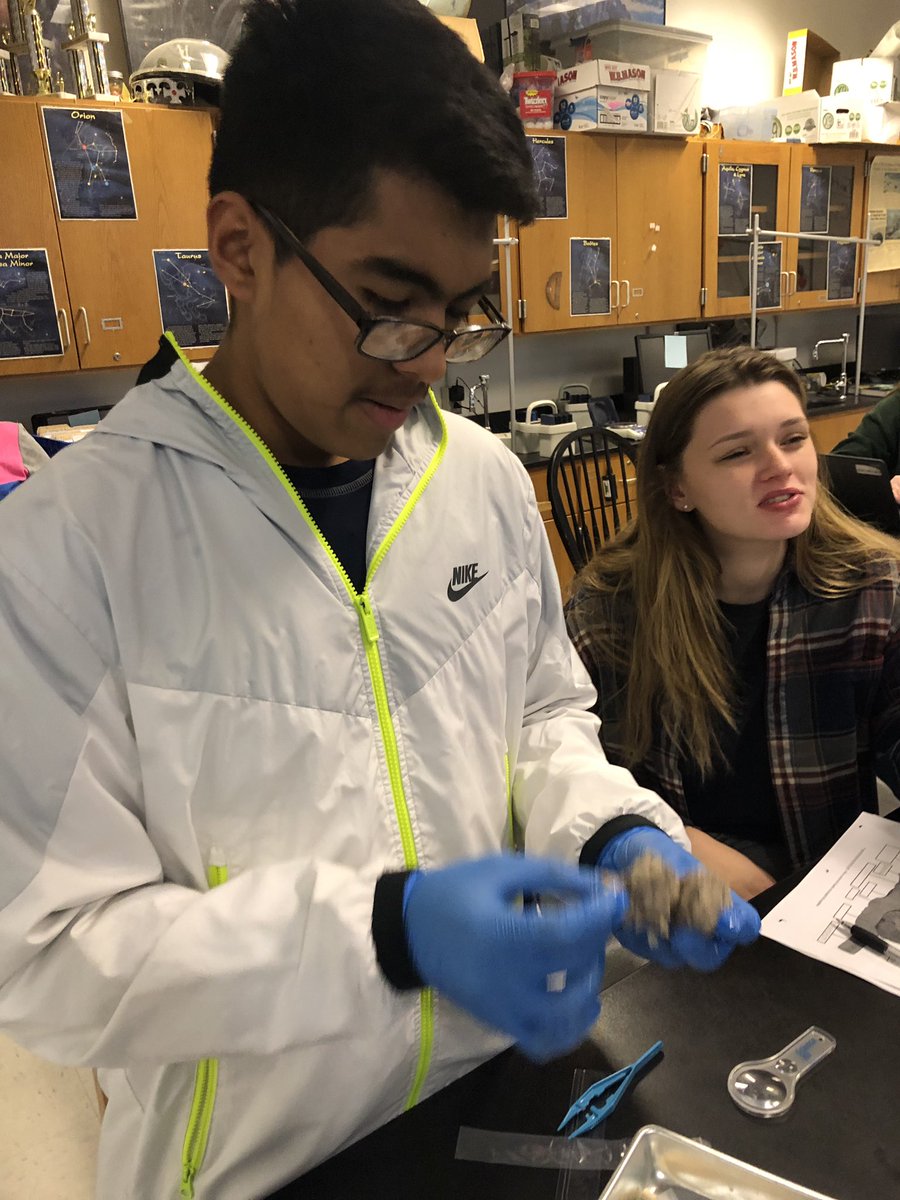 BrianMcFarland tweet media