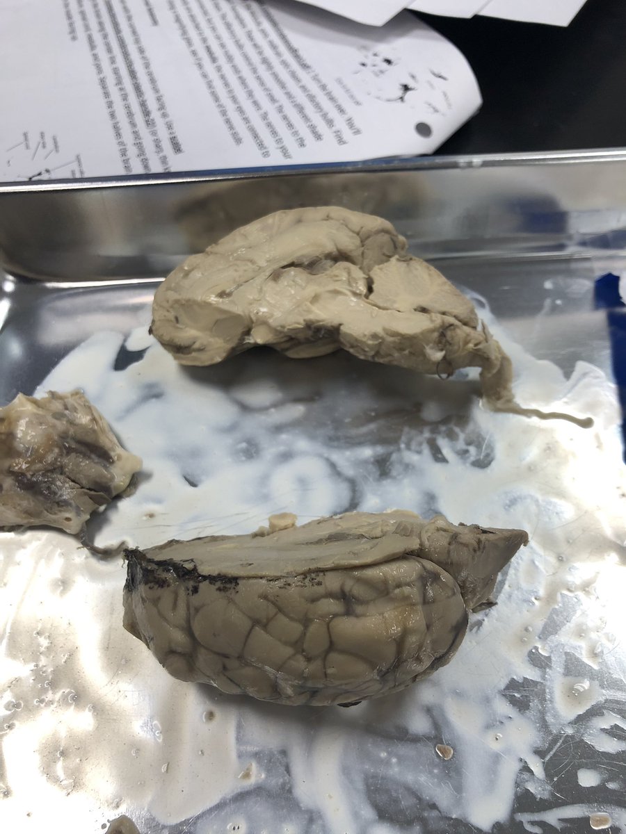 BrianMcFarland tweet media