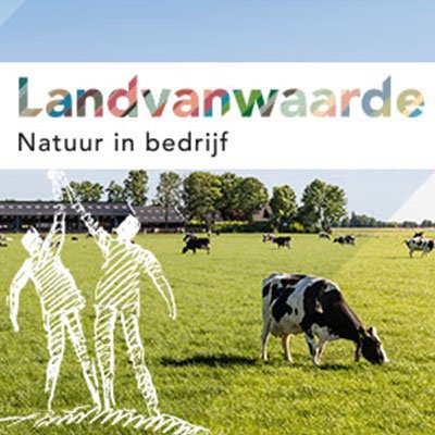 Wat is nu de waarde van LandvanWaarde? Hans de Haan (projectleider) Ryan Nijzink (a.s.r. real estate), Bas Volkers (Ministerie LNV), Elke Kunen (Staatsbosbeheer) en Marcel Strijtveen (melkveehouder) geven antwoord op deze vraag: bit.ly/2LwC6ty