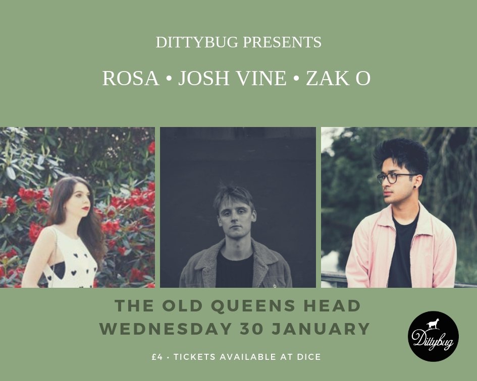 Dittybug tweet media