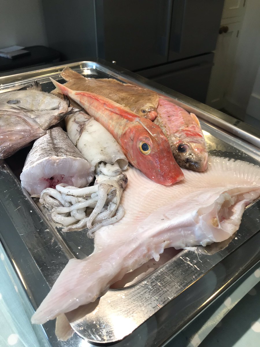 Annie Seabourne tweet media