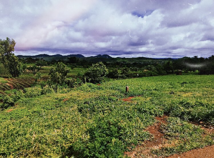 BerryBeeMW's tweet photo. Chiradzulu District, Malawi https://t.co/9n2nOruVDx