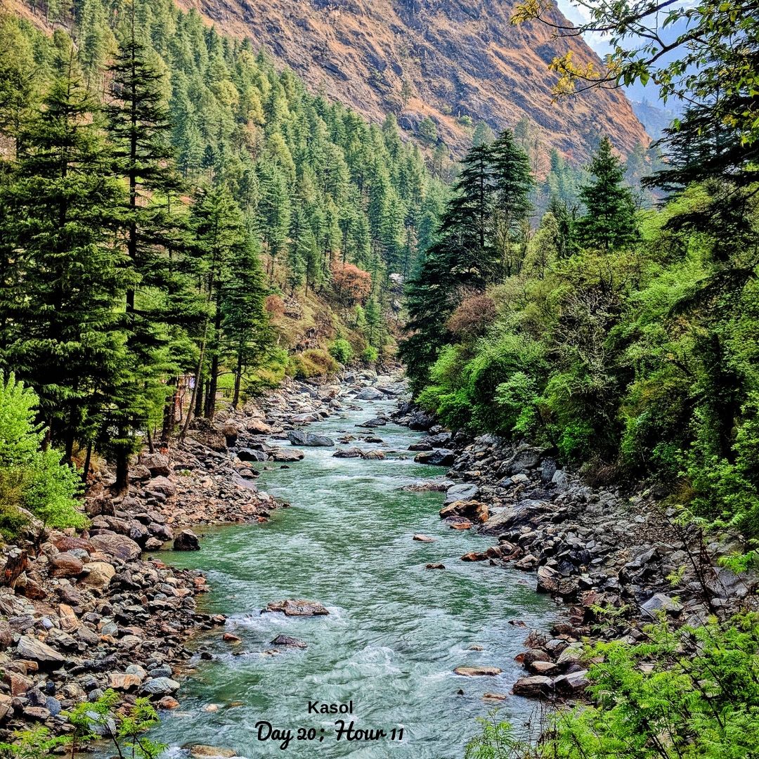 travlyng's tweet photo. Travlyng is now off to the #partydestination of #Himachal - #Kasol. The beauty of the #ParvatiValley is enchanting and will give you a much needed dose of #innerpeace and #solace .
#youthhub #Himalayas #Himalayanholiday #travel #travelling #traveldiaries #travelIndia #Indiatravel https://t.co/l16bwn6H9I