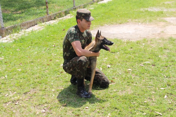 cmse_exercito's tweet photo. 2º Batalhão de Polícia do Exército conclui Estágio de Emprego de Cães Detectores: https://t.co/hPqgsVzS5b #2BPE #Bandeirantes #TudoPeloBrasil #SeuExércitoNuncaPara https://t.co/Os6CdndB5z