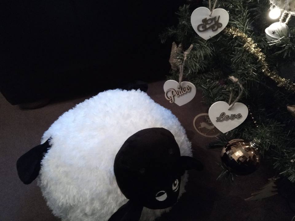 Live Nativity tweet media