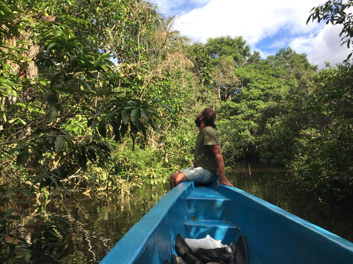JungleMallki's tweet photo. Find your place, find your peace #ThursdayMotivation 
What/where is your place?
#WelcomeToTheJungle #FindYourPassion #JungleConservation  #MallkiJungle #AmazonRainforest #AllYouNeedIsEcuador #River https://t.co/acLeqjzbU8