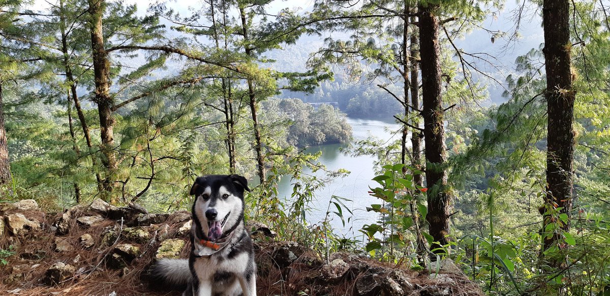 TotemsMx's tweet photo. Andamos por tierras Poblanas de scouting a para los viajes y eventos 2019. 
#Puebla #petfriendly #porunméxicopetfriendly #méxico https://t.co/wMioCho5ZJ