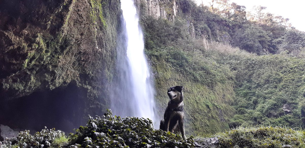 TotemsMx's tweet photo. Andamos de scouting por tierras Poblanas para viajes y eventos 2019. ¡Qué chulo es Puebla!
#puebla #petfriendly #porunméxicopetfriendly #tótems https://t.co/jCqUQnGbUc
