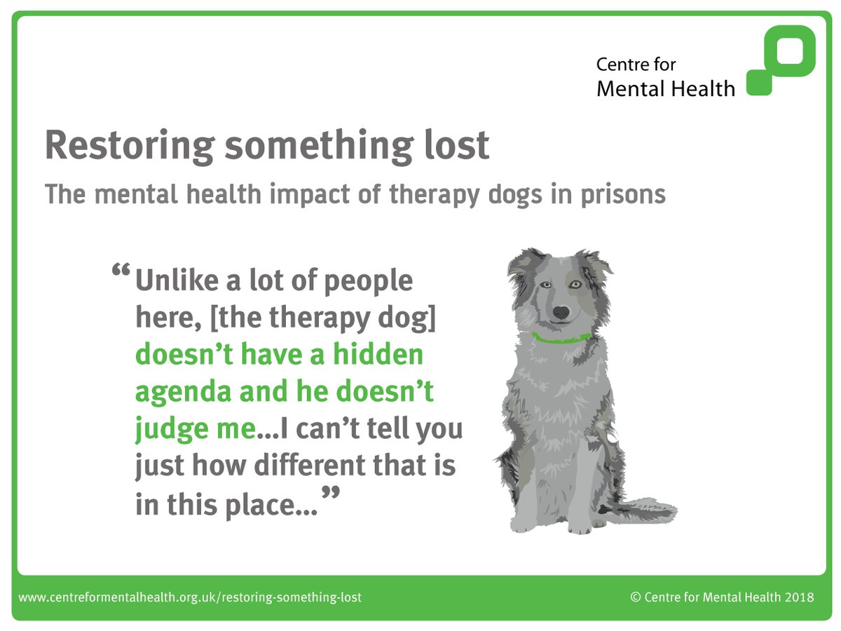 CentreforMH's tweet image. The @mhtodaymag looks at our new research on using therapy dogs to improve the mental wellbeing of prisoners: mentalhealthtoday.co.uk/news/report-sh…

#PATDog #RestoringSomethingLost #MentalHealth #Prisons