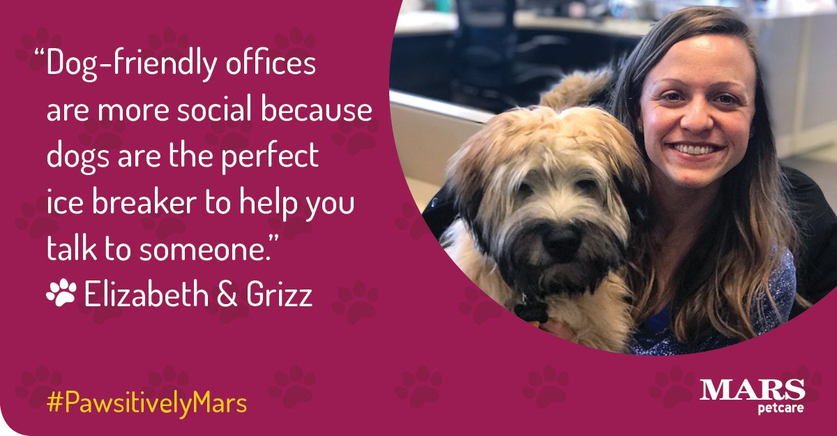 MarsPetcareUS's tweet photo. Why do #PetsWorkAtWork? They make it easier to connect. "Dog-friendly offices are more social because dogs are the perfect ice breaker to help you talk to someone," says our Associate Elizabeth. #PawsitivelyMars https://t.co/PYQn5bV23w