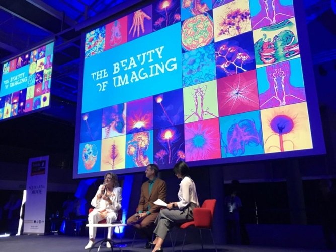 FondBracco's tweet image. #ArteScienza
La mostra #TheBeautyofImaging, sintesi perfetta di un mix che richiama sia il valore estetico della bellezza, vi aspetta fino al 6 gennaio alla @cittascienza goo.gl/ZwtCSe