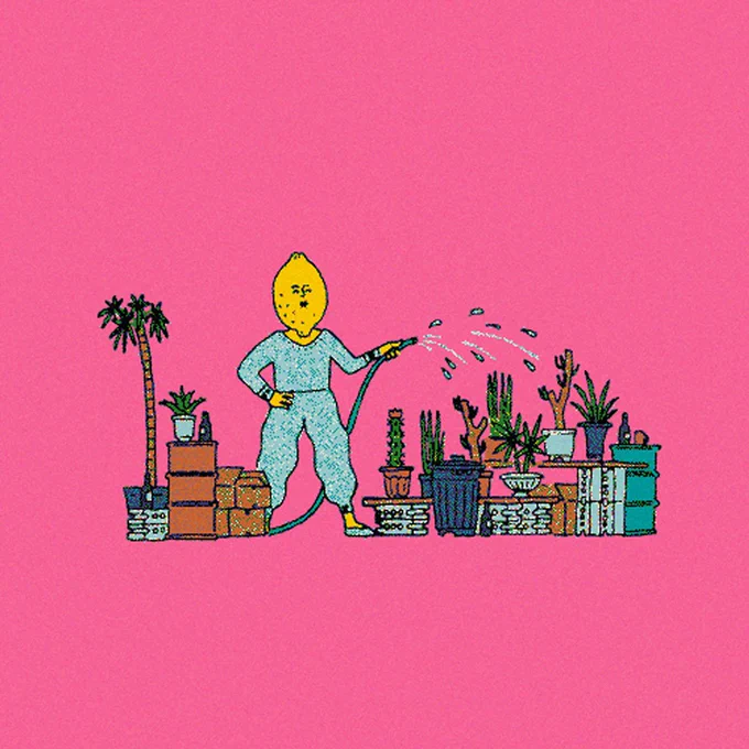 鉢植えに水をやるレモン 