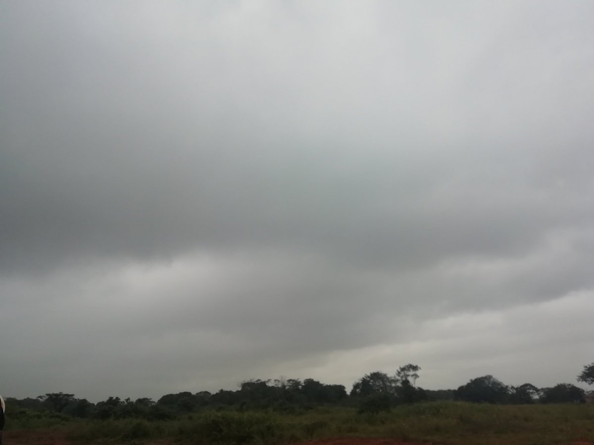 RealEdwortu's tweet image. Subienda de pescados en el Río Cauca #BajoCauca #margento @IDEAMColombia