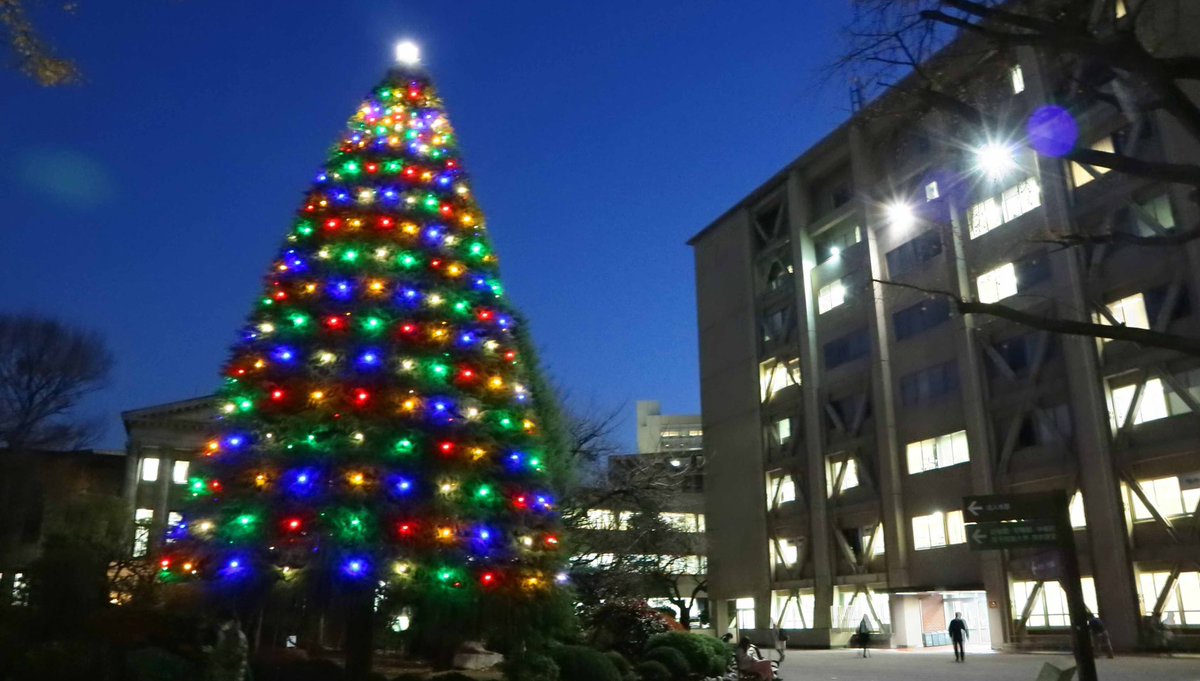 青山学院大学 教育と研究の場として相応しい 光 を放つ青山学院大学のクリスマス ツリー クリスマス ツリー点灯期間は 19年1月5日 土 まで