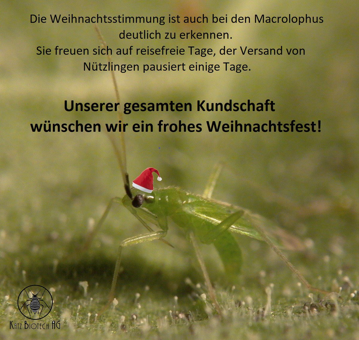 Weihnachtsgrüße
#insectswetrust #biocontrol #Weihnachten #MerryXmas