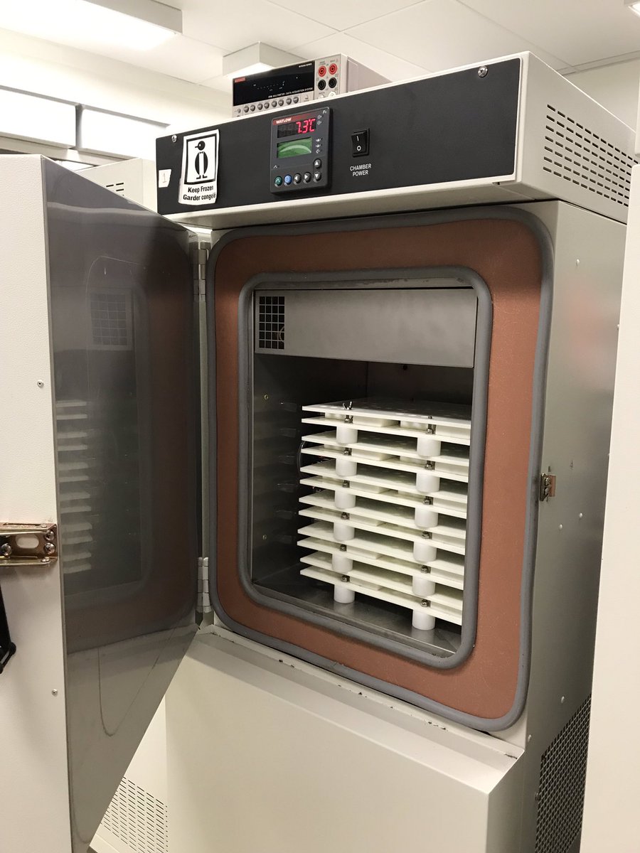 terroirguy's tweet photo. All systems are a go. We may not have reindeer as we use pickup trucks but the grapevine hardiness lab group have been spread across Ontario delivering packages of bud material back to @CCOVIBrockU for #VineAlert. Updated data will be posted by week’s end for @grapegrowersont https://t.co/cmwpjTaWXk