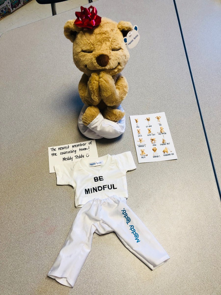 Please meet the newest member of our Warren Guidance team, MEDDY TEDDY!